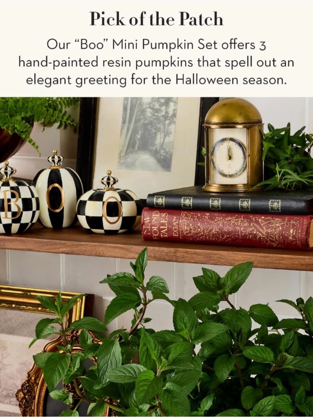 SOLD! NEW in original box: Mackenzie-Childs hand painted BOO pumpkins, set of 3. - Picture 4 of 5